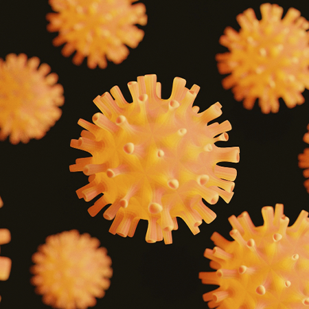 Герпесвирусы